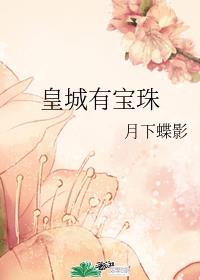 皇城有宝珠剧情