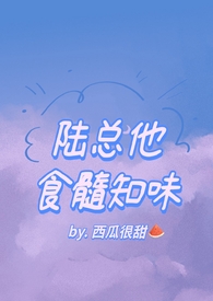 陆总他食髓知味完结